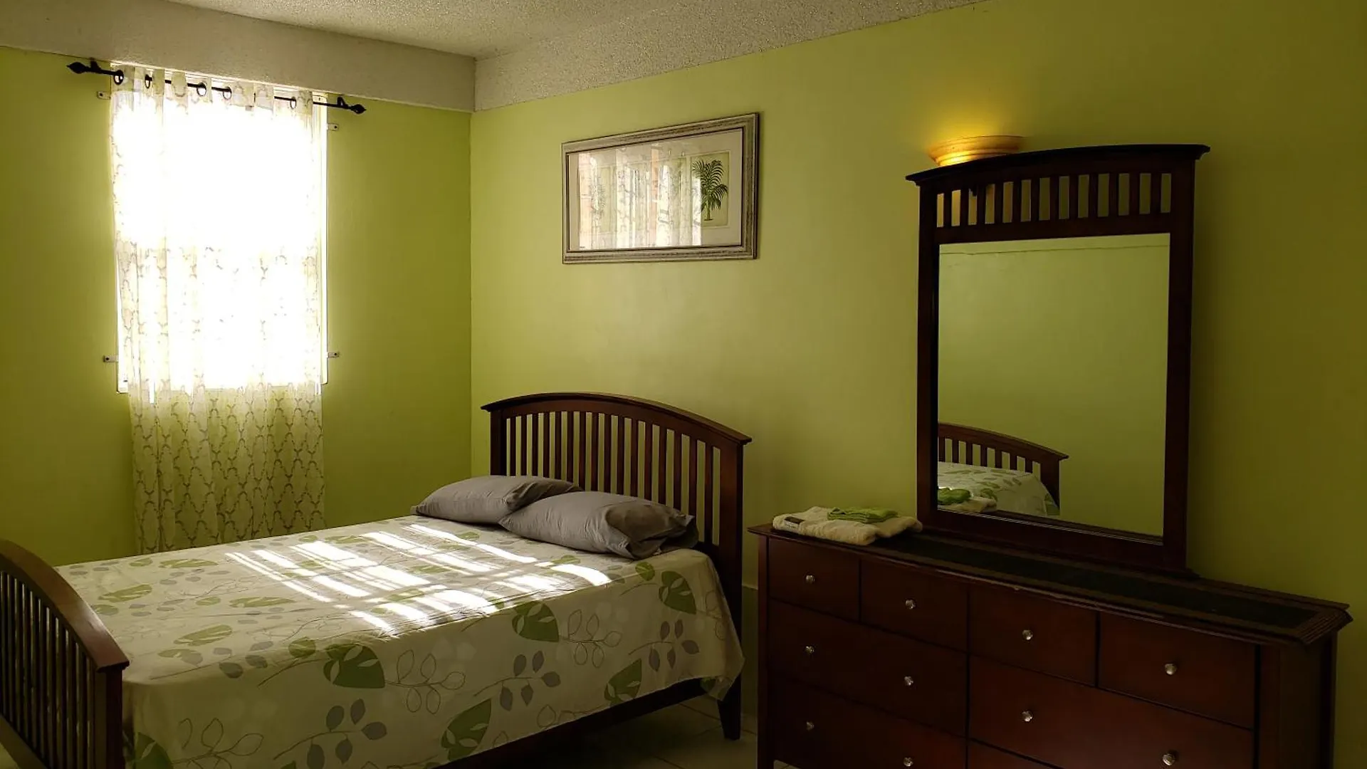Natures Comfort Apartment Roseau Dominica