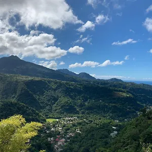 Le Petit Paradis Roseau