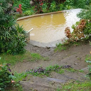 Ti Kwen Glo Cho Roseau